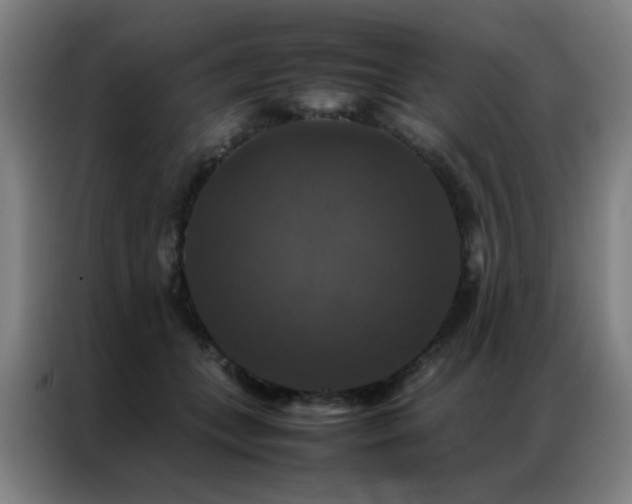 X0000087330559200704201130