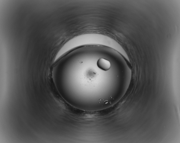X0000087330560200704201130