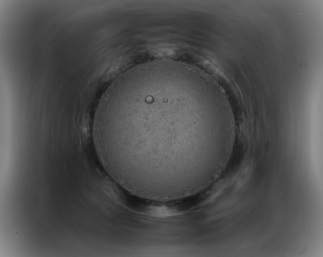 X0000087330561200704201130