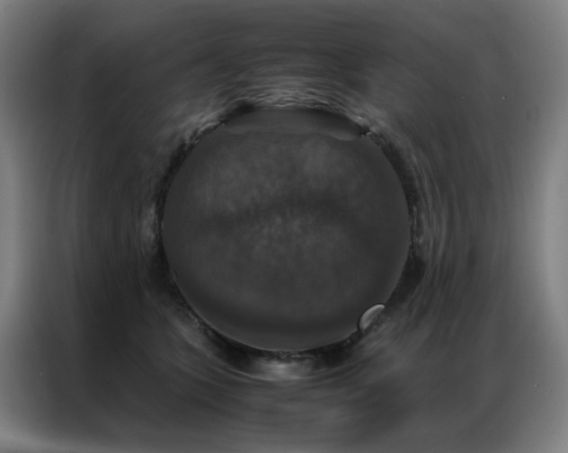 X0000087330563200704201130
