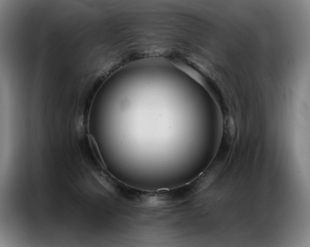 X0000087330564200704201130