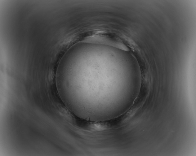 X0000087330565200704201130