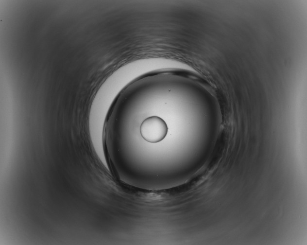 X0000087330566200704201130