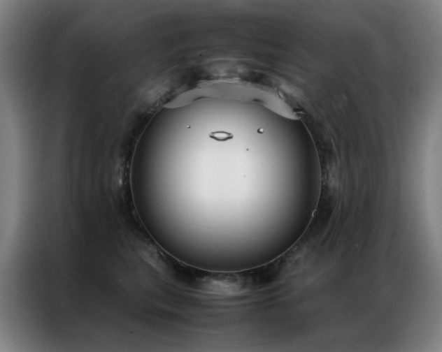 X0000087330567200704201130