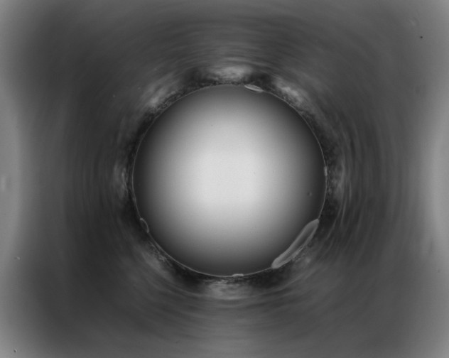 X0000087330568200704201130