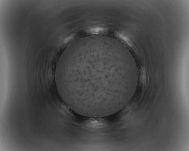 X0000087330569200704201130