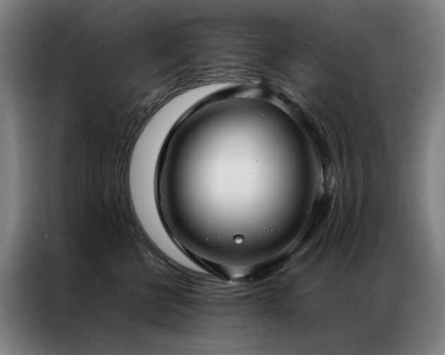 X0000087330570200704201130