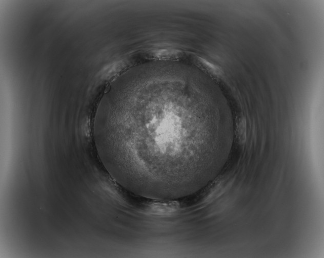 X0000087330571200704201130