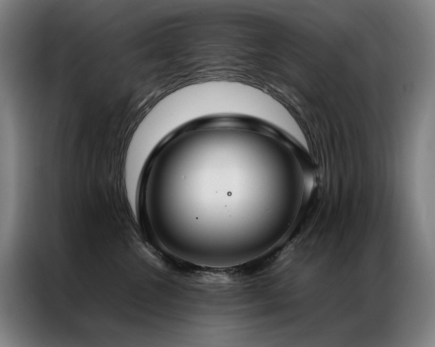 X0000087330572200704201130