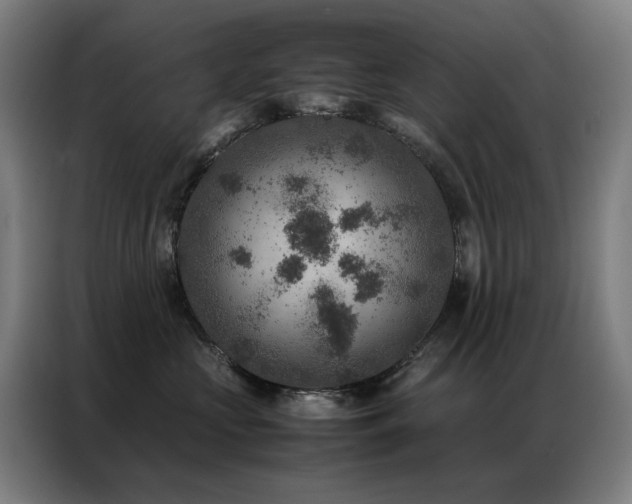 X0000087330573200704201130