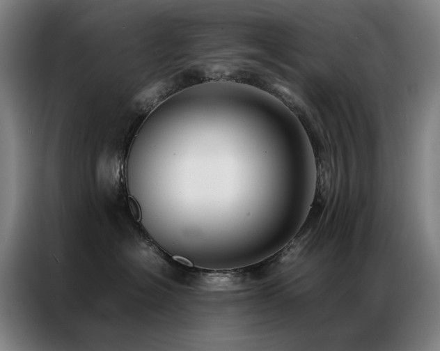 X0000087330574200704201130
