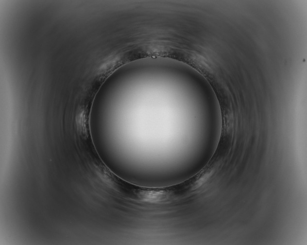 X0000087330575200704201130