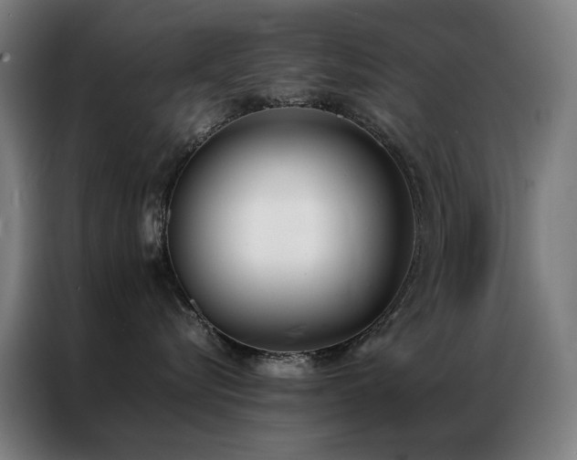 X0000087330576200704201130