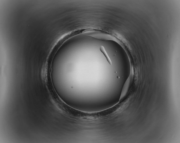 X0000087330580200704201129