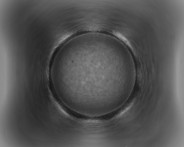 X0000087330581200704201129