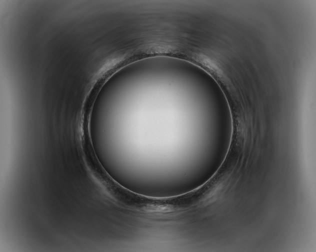 X0000087330582200704201129