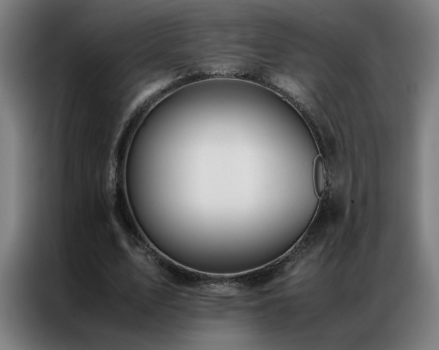 X0000087330583200704201129