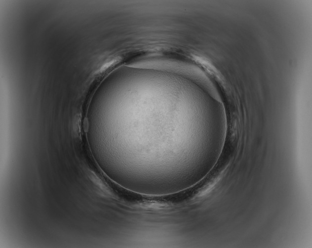 X0000087330585200704201129