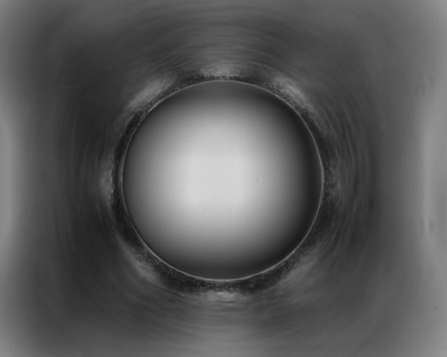 X0000087330586200704201129