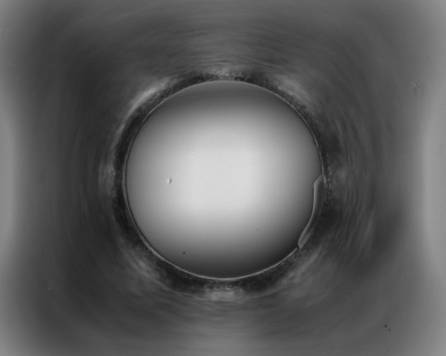 X0000087330587200704201129