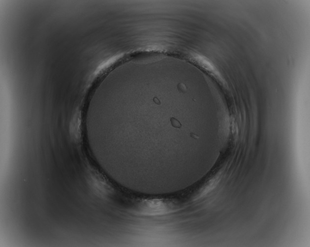 X0000087330588200704201129