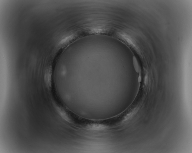 X0000087330590200704201129