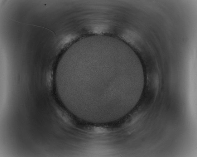 X0000087330592200704201129