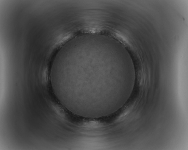 X0000087330594200704201129