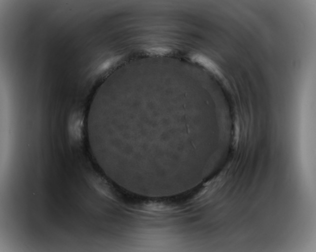 X0000087330596200704201129