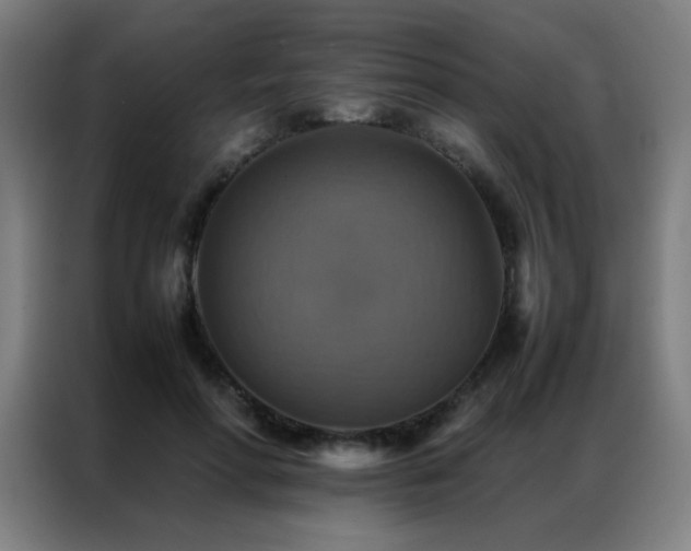 X0000087330598200704201129