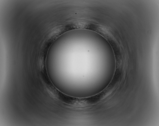 X0000087330599200704201129
