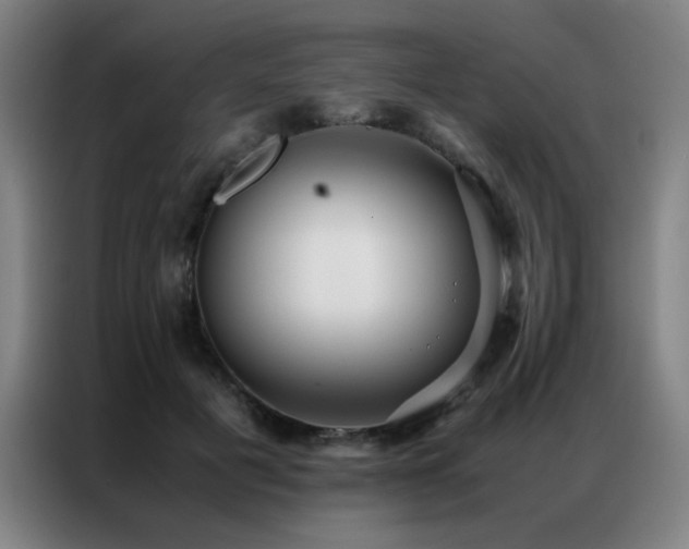 X0000087330601200704201129
