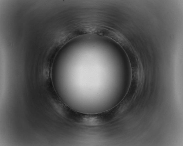 X0000087330602200704201129