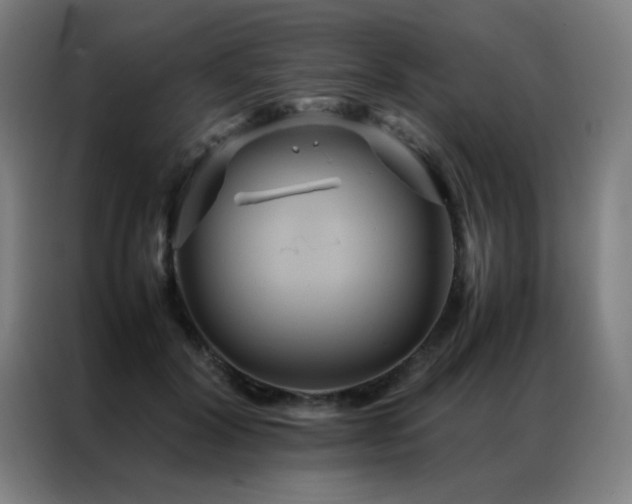 X0000087330604200704201129