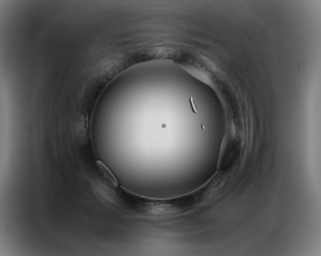 X0000087330605200704201129