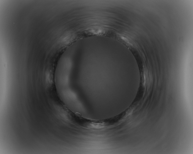 X0000087330606200704201129