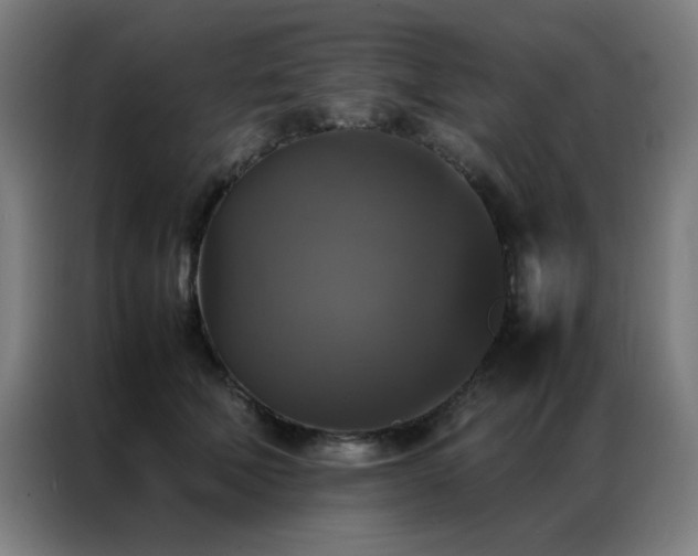 X0000087330610200704201129