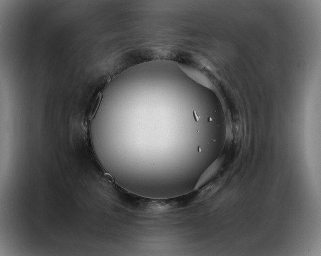 X0000087330613200704201129