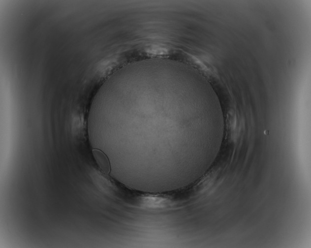X0000087330614200704201129