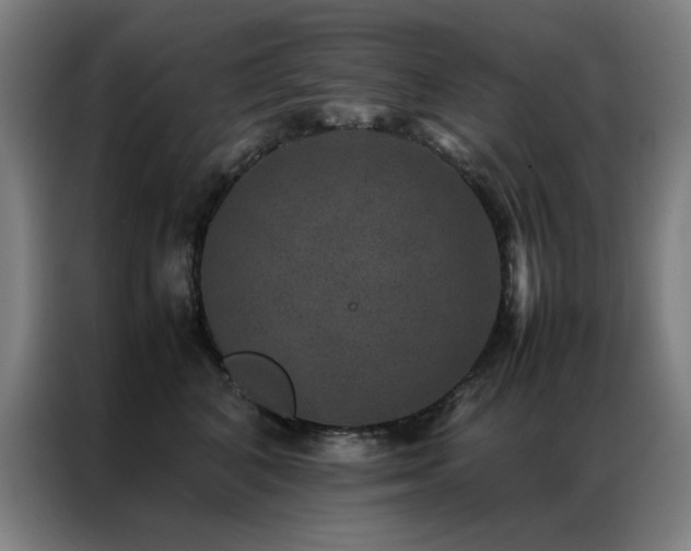 X0000087330616200704201129