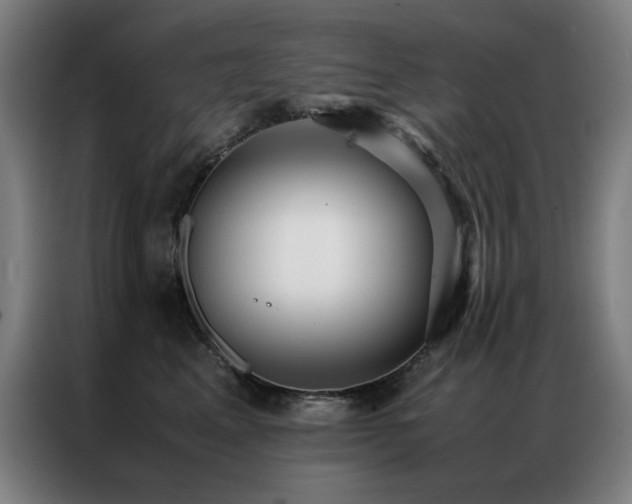 X0000087330617200704201129