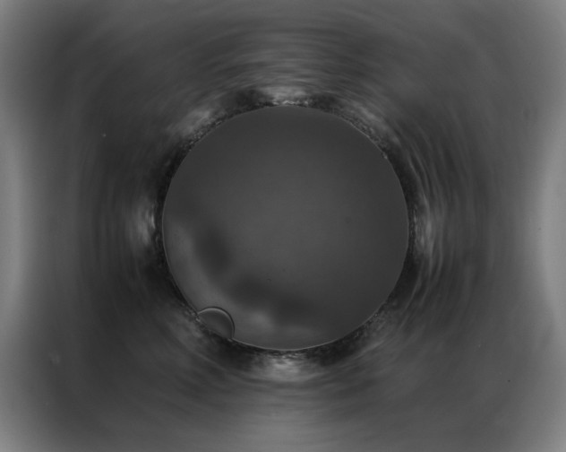 X0000087330618200704201129
