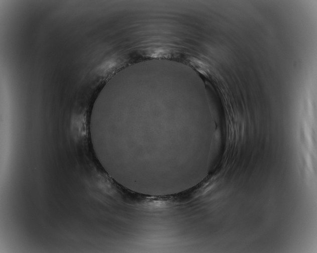 X0000087330620200704201129