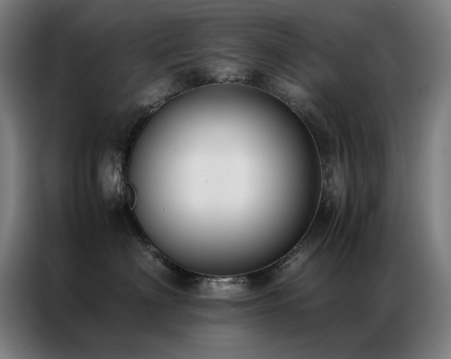 X0000087330622200704201129