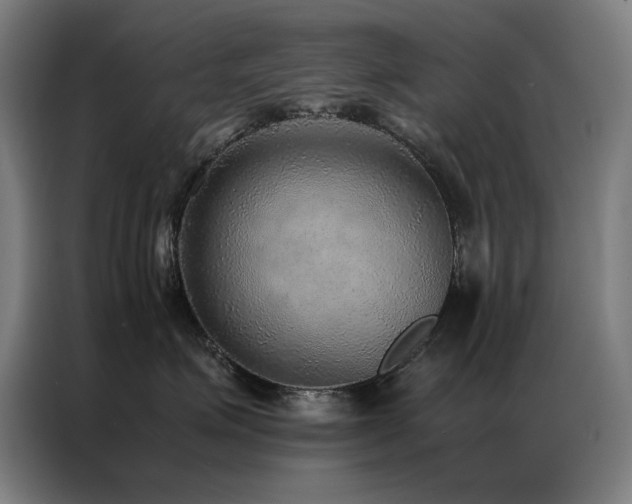 X0000087330623200704201129