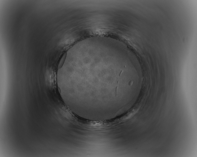 X0000087330624200704201129