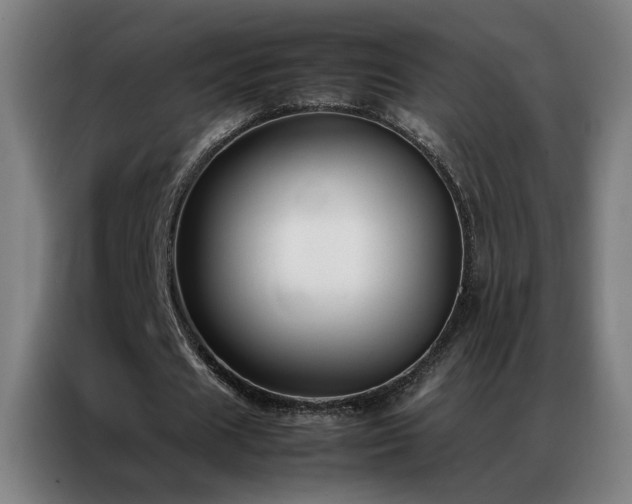 X0000087330625200704201128