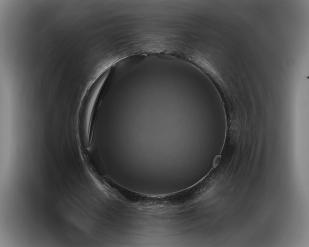 X0000087330626200704201128