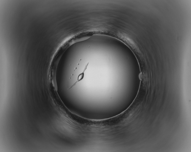 X0000087330628200704201128