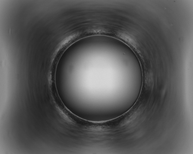 X0000087330629200704201128